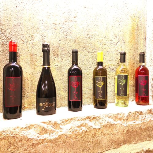 la nostra produzione di vini sui colli euganei di Padova