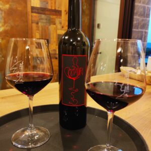 produzione vino rosso colli euganei