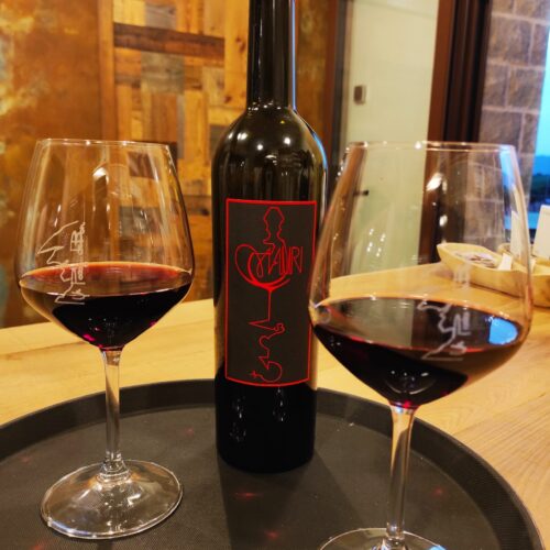 produzione vino rosso colli euganei